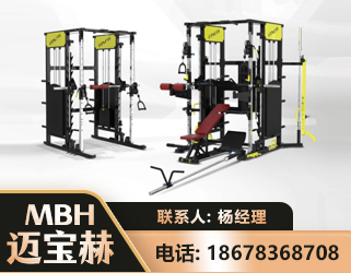 呼和浩特多功能综合训练器