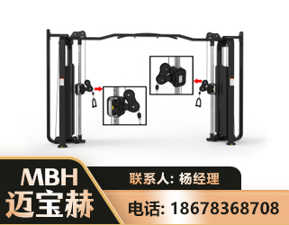 呼和浩特大飞鸟训练器